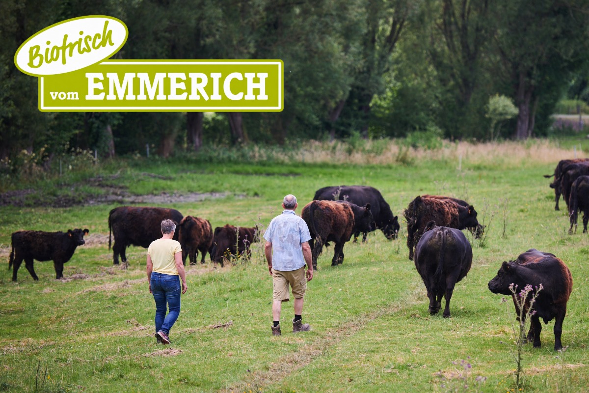 Besser geht es nicht: 100 % Bio-Rindfleisch vom Galloway und anderen Rassen direkt vom Erzeuger „Biofrisch vom Emmerich“!